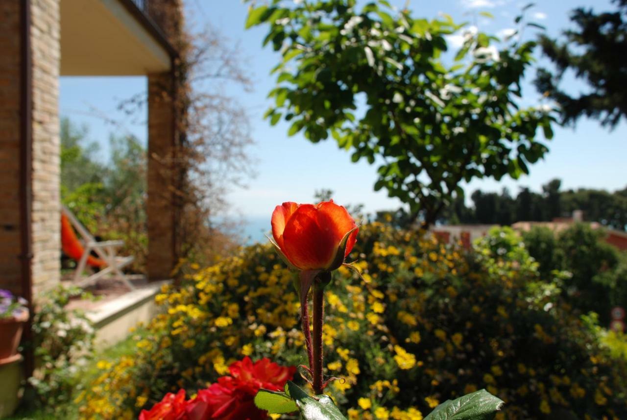 Bed & Breakfast Latteletto Tortoreto Екстериор снимка